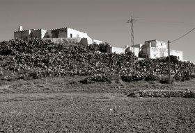 Cortijo El Cerrillo Fernán Pérez