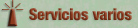 Servicios varios